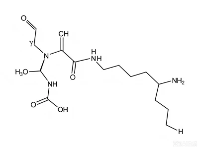 CAS:33932-35-3:Glutathionylspermidine